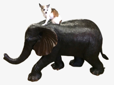 Clip Art Elephant Trunk Snake - Indian Elephant, HD Png Download, Transparent PNG