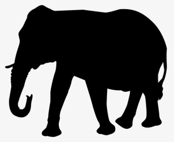 Transparent Elephant Indian Elephant, HD Png Download, Transparent PNG