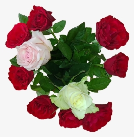 Rose Bouquet Love Free Picture - 꽃다발 장미 꽃 Png, Transparent Png, Transparent PNG