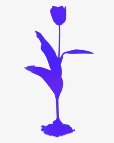 Tulip Plant Png Transparent Images - Tulip, Png Download, Transparent PNG