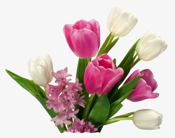 Tulip Flower Png Images Free Gallery - Transparent Background Flower Bouquet Png Transparent, Png Download, Transparent PNG