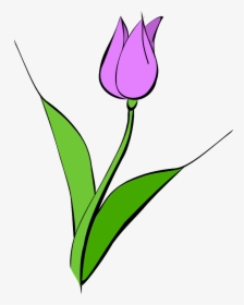 Tulip Images Download Png Clipart - Yellow Tulip Clipart, Transparent Png, Transparent PNG