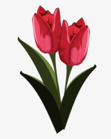 Heart,plant,flower, HD Png Download, Transparent PNG