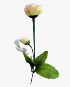 Transparent Tulip Flower Png - Flower, Png Download, Transparent PNG
