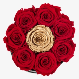 Clip Art Black Rose Bouquet - Garden Roses, HD Png Download, Transparent PNG