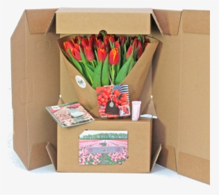 Tulip Gift Box, HD Png Download, Transparent PNG