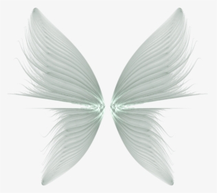 Download Wings Transparent Background - Fairy Wings Transparent Background, HD Png Download, Transparent PNG