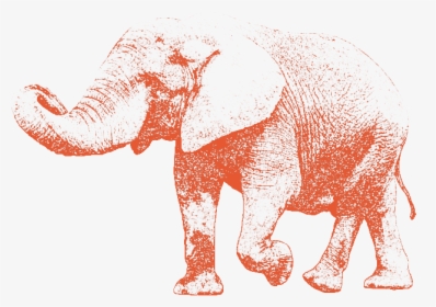 Elephant Walking With Its Trunk Up - Indian Elephant, HD Png Download, Transparent PNG