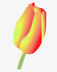 Tulip Flower Svg Clip Arts - Tulip Clip Art, HD Png Download, Transparent PNG