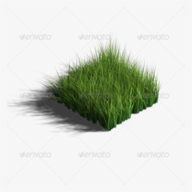 Grass 3d Model Transparent Png, Png Download, Transparent PNG