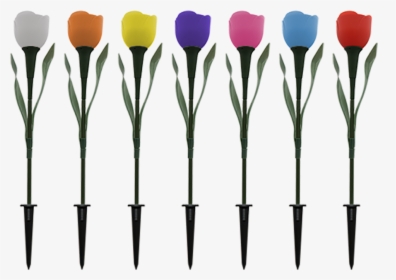 Pp02 Solar Tulip Flower Light - Solar Tulip Flower Light, HD Png Download, Transparent PNG