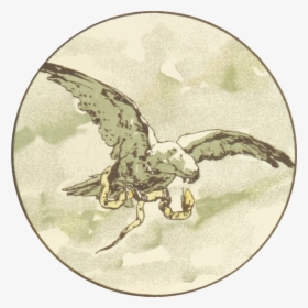 Fauna,organism,wing, HD Png Download, Transparent PNG