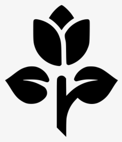 Tulip Rose Flower Plant - America's Child Montessori Logo, HD Png Download, Transparent PNG