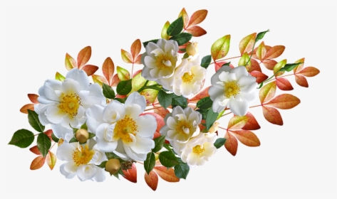 Roses, Flowers, Autumn, Leaves, Arrangement, Cut Out - Transparent Automne En Png, Png Download, Transparent PNG