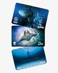 C Card Options - Padi Project Aware Card 2019, HD Png Download, Transparent PNG