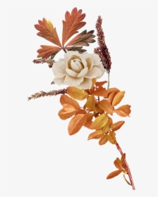 Transparent Autumn Flower Png - Transparent Autumn Flowers Clip Art, Png Download, Transparent PNG