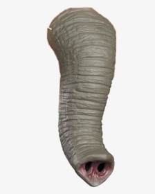 #filter #elephanttrunk #elephant #trunk #nose #elephantnose - Vase, HD Png Download, Transparent PNG