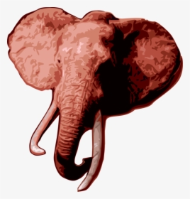 Vector Illustration Of African Elephant Head With Tusks - Indian Elephant, HD Png Download, Transparent PNG