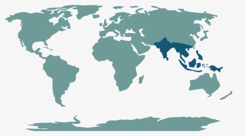 Transparent Asia Png - Cape Town On The World Map, Png Download, Transparent PNG