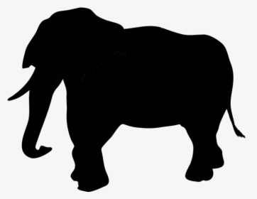 Elephant Trunk Png Transparent Images - Transparent Zoo Animal Silhouette, Png Download, Transparent PNG