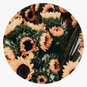 Tumblr Aesthetic Flowers Flower Rose Roses Png Tumblr - Aesthetic Tumblr Aesthetic Flowers Png, Transparent Png, Transparent PNG
