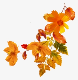 Flower Autumn Clip Art - Transparent Background Autumn Flower Clipart, HD Png Download, Transparent PNG