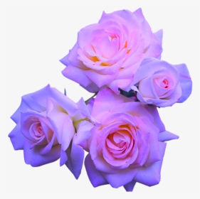 Transparent Aesthetic Flowers Png - Aesthetic Transparent Purple Stickers, Png Download, Transparent PNG