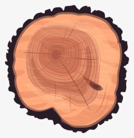 Wheel Eucalyptus Stump Tree Wood Trunk Clipart - Tree Rings, HD Png Download, Transparent PNG
