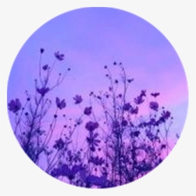 Aesthetic Circle Icon Purple Flowers Flower Purpleaesth - Aesthetic Purple Flower Transparent, HD Png Download, Transparent PNG
