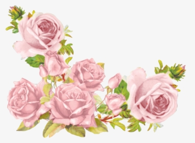 Aesthetic Flowers Transparent Background, HD Png Download, Transparent PNG