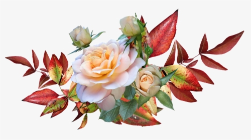 Autumn Leaves, Roses, Flowers, Garden, Nature, Cut - Autumn Leaves And Flower, HD Png Download, Transparent PNG
