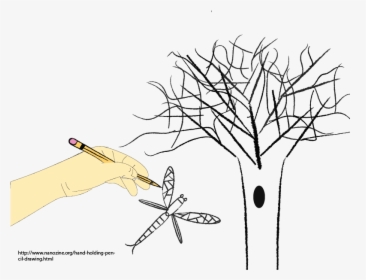 Transparent Hand Holding Pencil Png - Illustration, Png Download, Transparent PNG