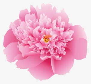Pink Peony Flower Png, Transparent Png, Transparent PNG