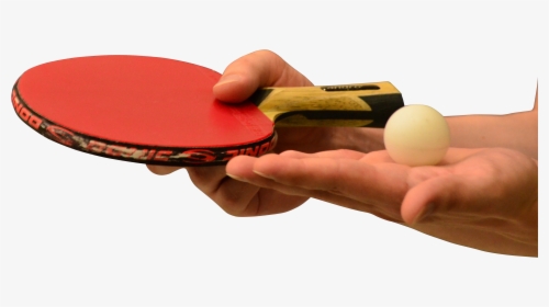 Hands Holding Table Tennis Of Racket And Ball, HD Png Download, Transparent PNG