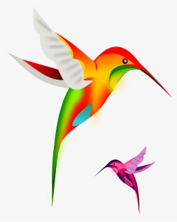Hummingbird Clipart Free, HD Png Download, Transparent PNG