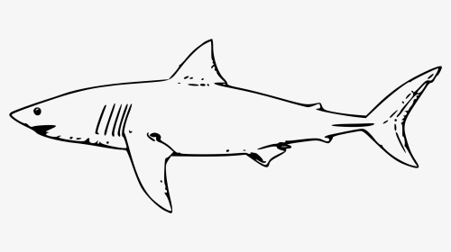 Clip Art Shark Outline Png - Great White Shark Clipart, Transparent Png, Transparent PNG