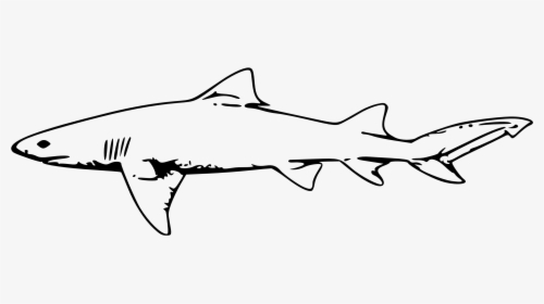 Shark Clipart Black And White - Shark Black And White Clipart, HD Png Download, Transparent PNG
