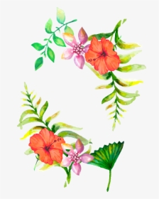 Aesthetic Clipart Flower - Transparent Background Floral Border Png, Png Download, Transparent PNG