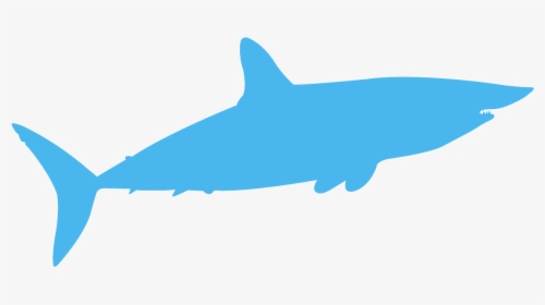 Blue Shark Silhouette, HD Png Download, Transparent PNG
