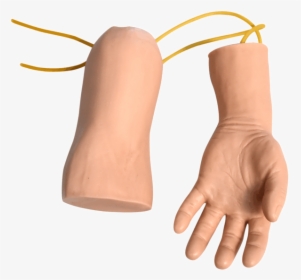Hand And Elbow Combined Intravenous Transfusion Training, HD Png Download, Transparent PNG