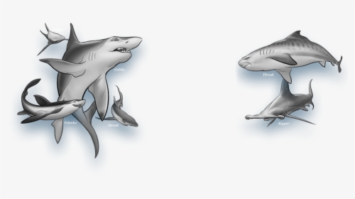 Transparent Shark Outline Png - Shark Wars Book 1, Png Download, Transparent PNG