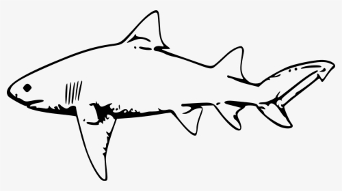 Transparent Cute Shark Clipart - Shark Black And White Clipart, HD Png Download, Transparent PNG