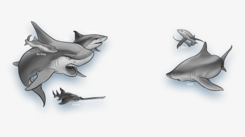 Gray From Shark Wars - Gray Shark Wars Book, HD Png Download, Transparent PNG