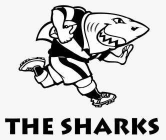 Transparent Shark Outline Png - Sharks Rugby Logo, Png Download, Transparent PNG