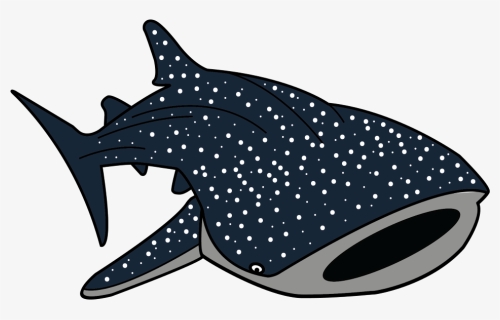Hammerhead Shark Clipart Whale Shark - Whale Shark Transparent Background, HD Png Download, Transparent PNG