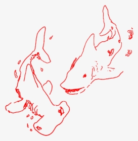 #aesthetic #art #sketch #doodle #shark #sharks #lineart, HD Png Download, Transparent PNG