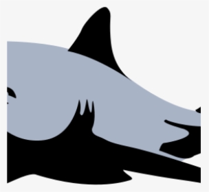 Free Clipart Shark Shark Clip Art Black And White Clipart - Blue Paul Shark Logo, HD Png Download, Transparent PNG