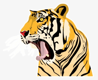 Clipart Tiger Roaring - Tiger Name Photo Download, HD Png Download, Transparent PNG