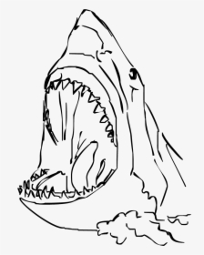 Transparent Shark Bite Clipart - Draw A Shark Head, HD Png Download, Transparent PNG