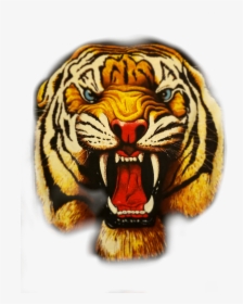 Transparent Roaring Tiger Clipart - Roaring Tiger Png, Png Download, Transparent PNG